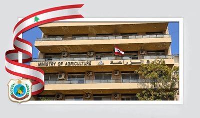 وزير الزراعة يصدر قرارًا لمنع دخول بكتيريا Xylella fastidiosa  عبر المواد النباتية المستوردة
